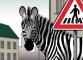 Zebra se nerozhlédne.jpg