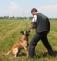 Výcvik policejního psa