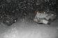 06.12.2013 nehoda 3 vozidel na sněhu