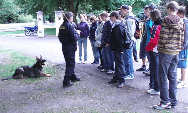 "Do života bez karambolu" 2010 