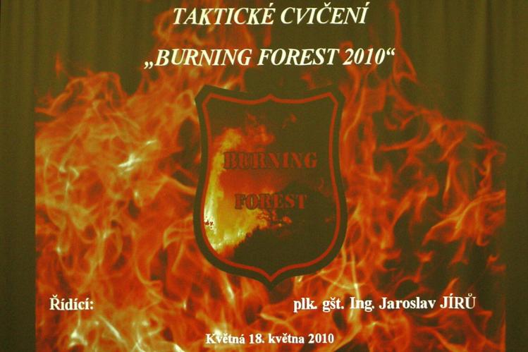 Burning Forest 2010