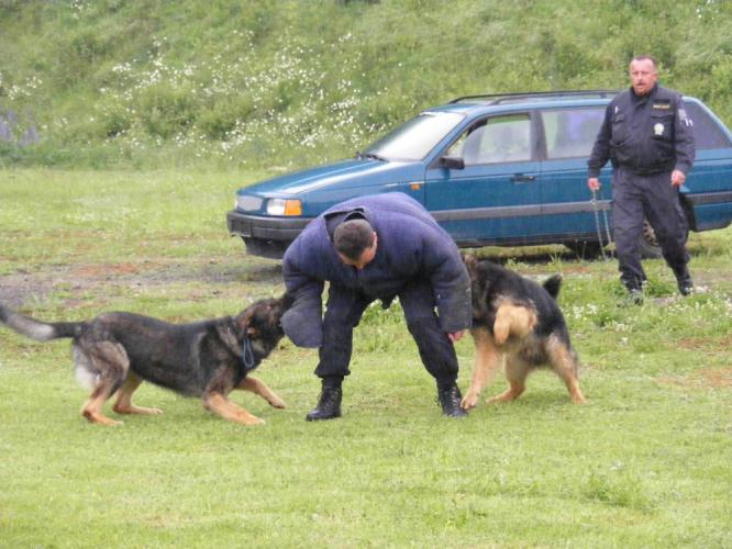 07.Ukázka-zadržení dvěma psy.jpg