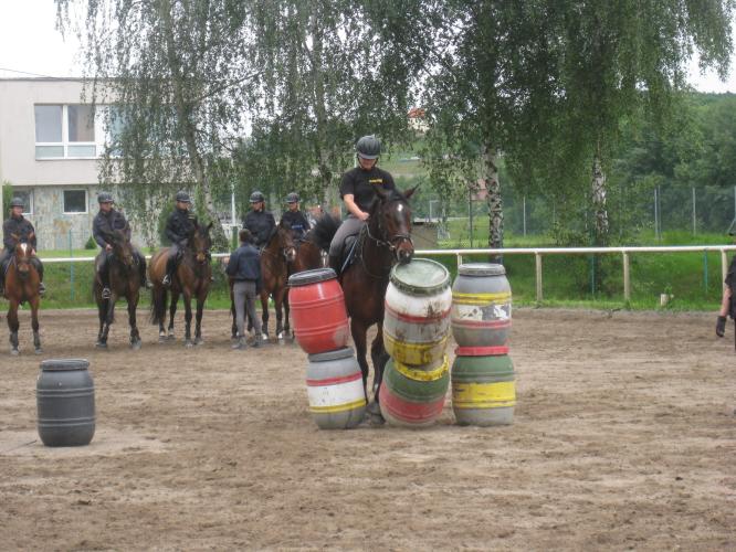 11 koně žádná překážka nezastaví