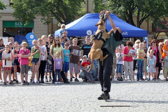 2Den s modrým majákem 2014