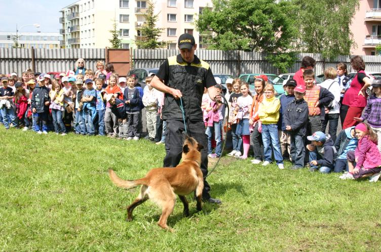 Ajax-poslušnost.jpg