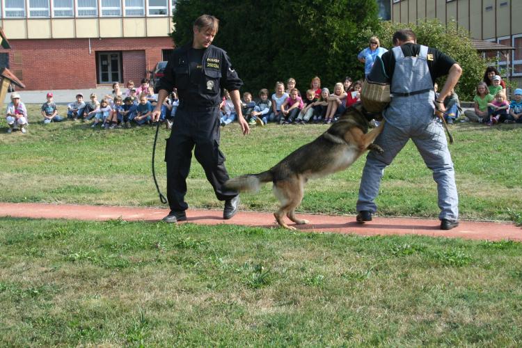 Ajax v Ostrově u Macochy 3.jpg