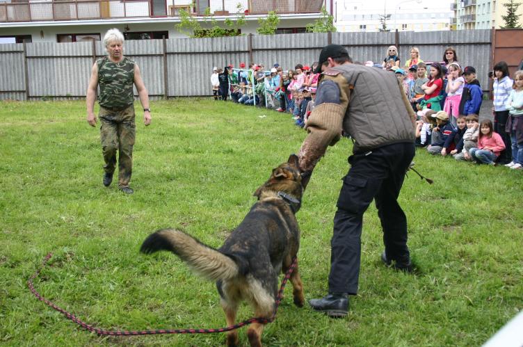 Ajax-zadržení.jpg