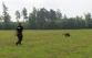 Cvičení pátrání pro psovody-slovenský kolega v terénu