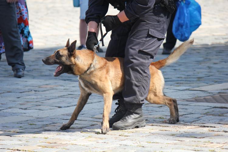 Den Policie ČR v Olomouci