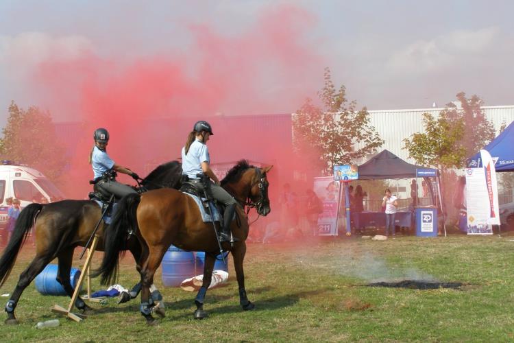 Den bezpečí a pořádku 2014