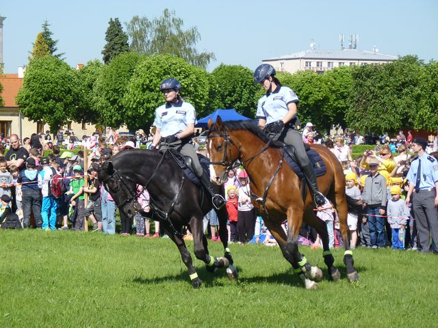 Den s policií