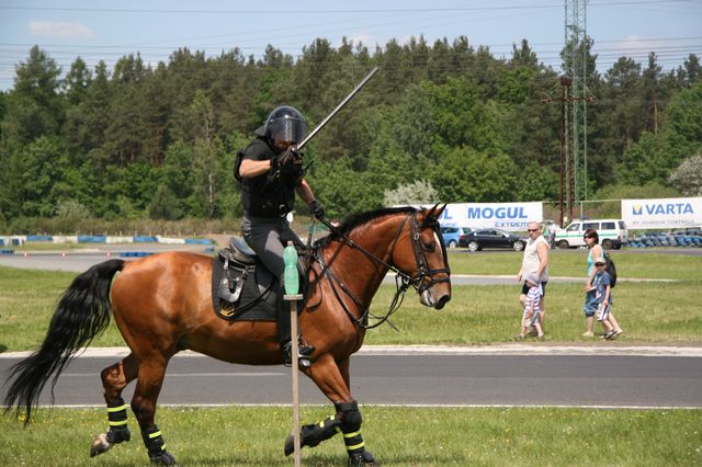 Den s policií 31