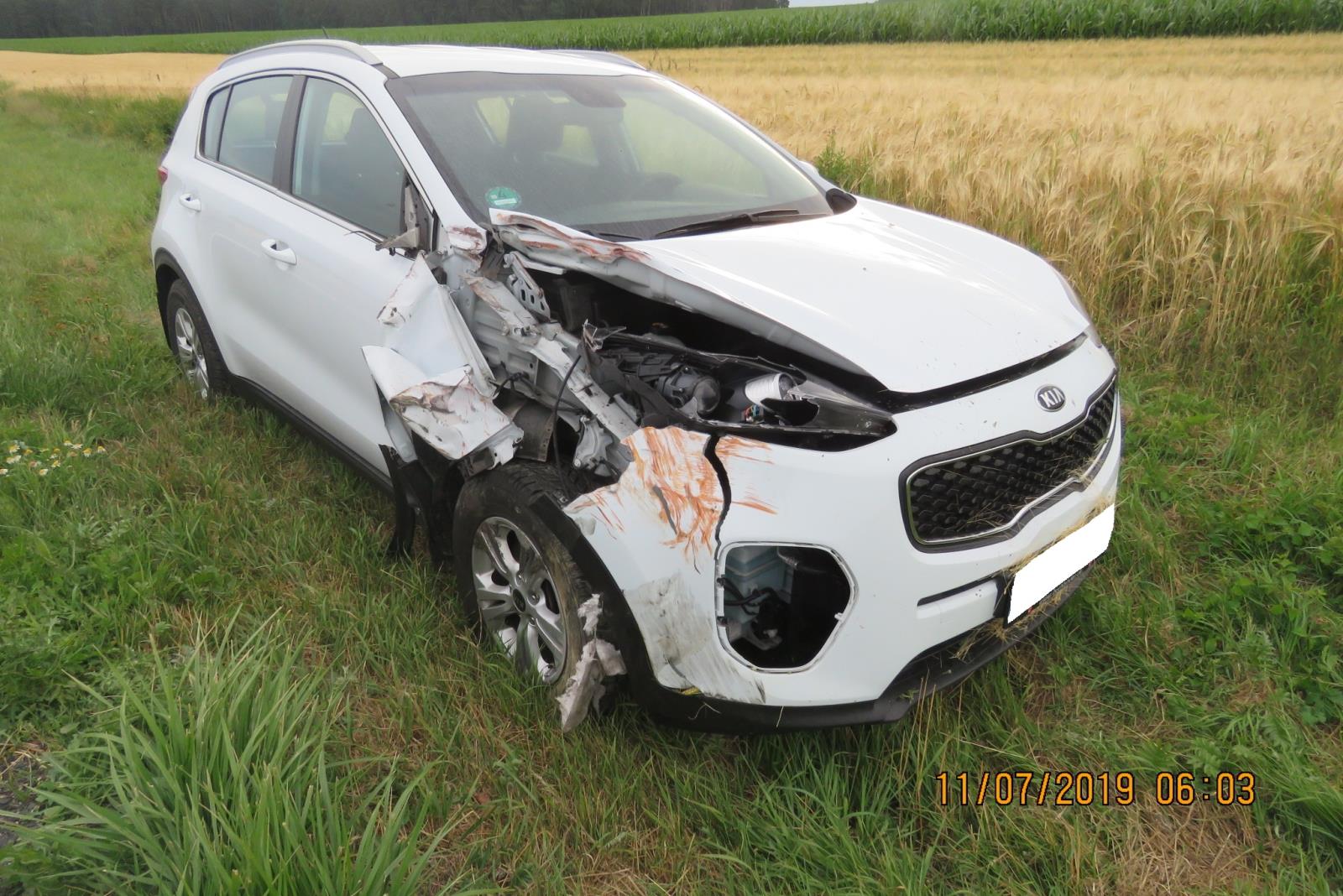 Dopravní nehoda - Draženov - 11.07.2019