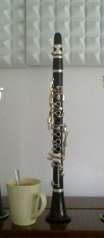 Foto klarinetu pořízené majitelem.jpg