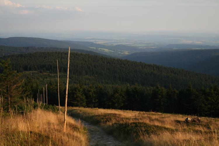 Hřeben Orlických hor