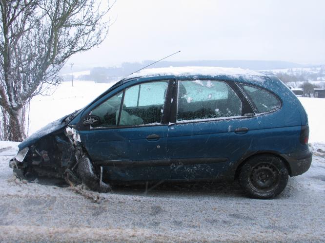 Hořepník 12.12.10.jpg