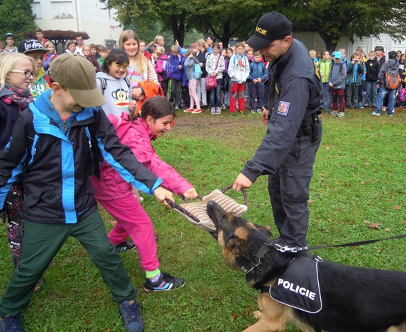 IZS, Tvůj ochránce 