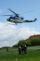 IZS- záchrana raněných z vrtulníku
