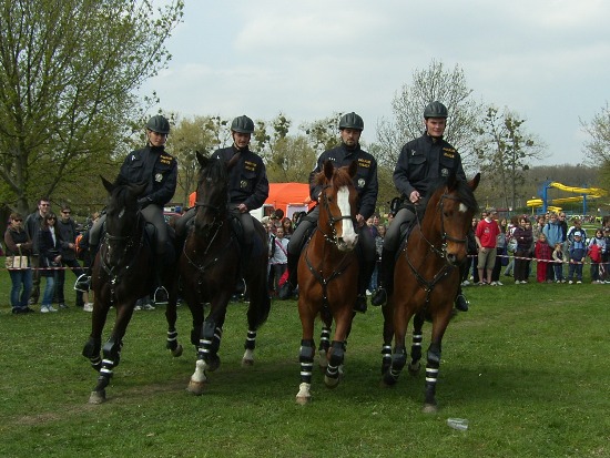 Jízdní policie