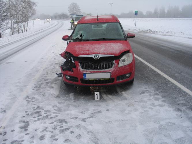 Kamenice 20.1.12.jpg