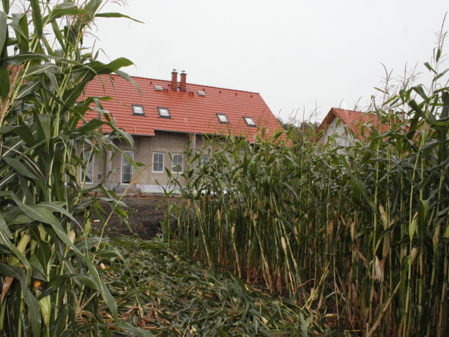 Krádež lešení Haki v Chlumci nad Cidlinou