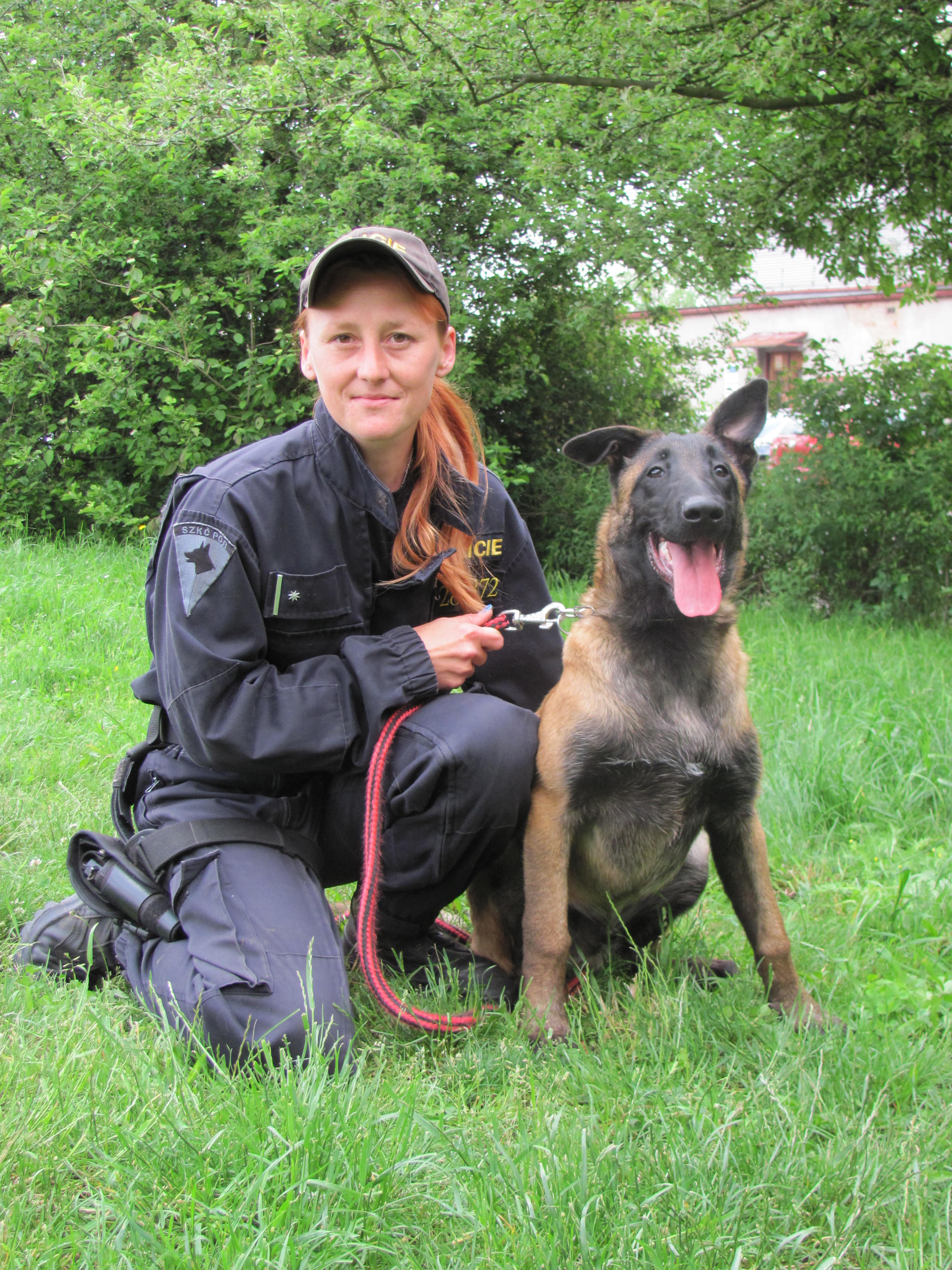 Nová štěňata nastoupila policejní službu 