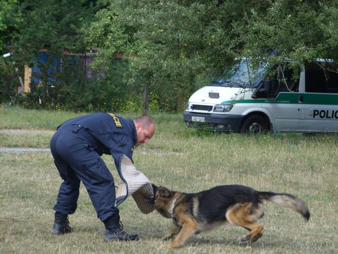 Policejní návštěva na příměstském táboře