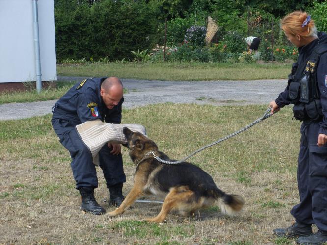 Policejní návštěva na příměstském táboře