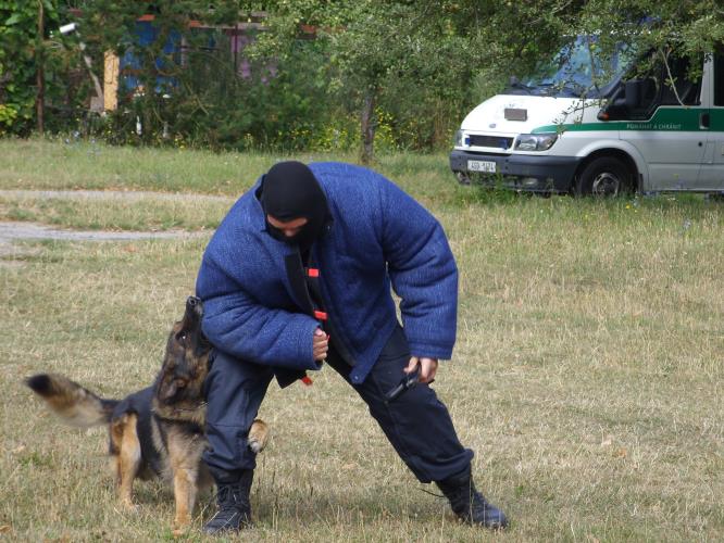 Policejní návštěva na příměstském táboře