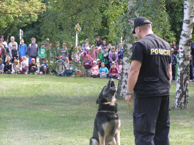 Policejní psovodi předvedli výcvik čtyřnohých pomocníků