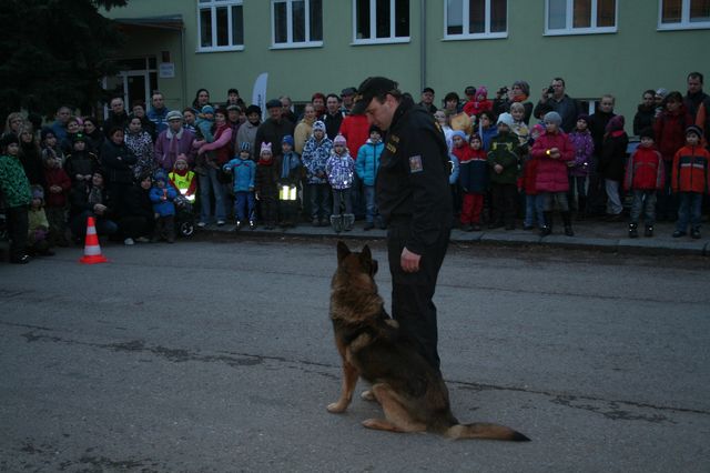 Poslušnost policejních psů děti fascinovala.JPG