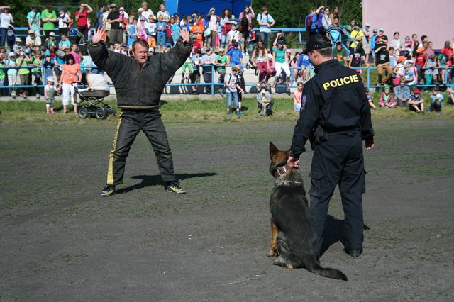 Práce policejních psovodů.JPG