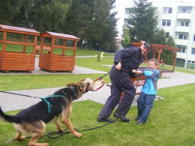 Předškoláci shlédli ukázky výcviku policejních psů.JPG