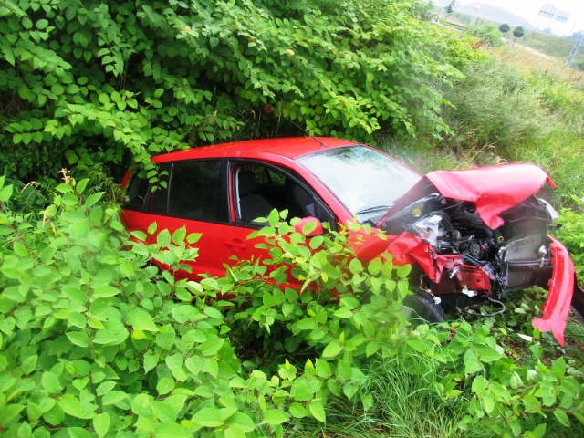 Škoda Fabia a Ford Fusion