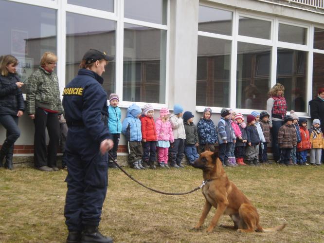 Skupina kynologie - výcvik poslušnosti