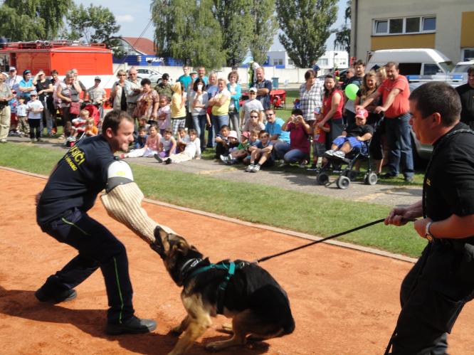 Složky   IZS předvedly svojí práci veřejnosti.JPG