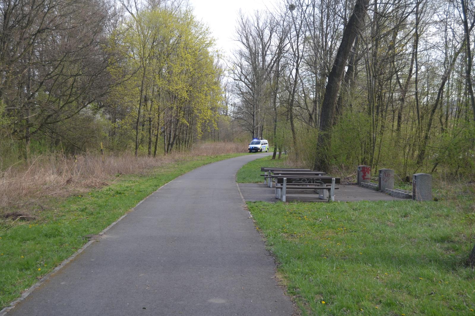 Střet cyklisty s chodkyní u VM