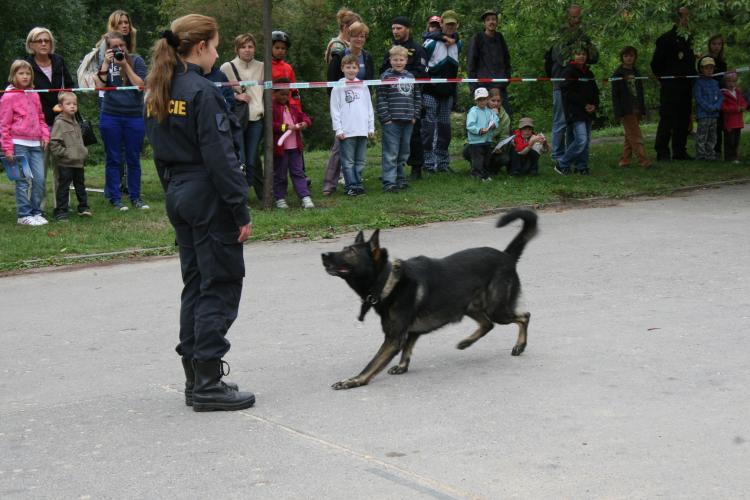 Stromovka 15-9-2012 20