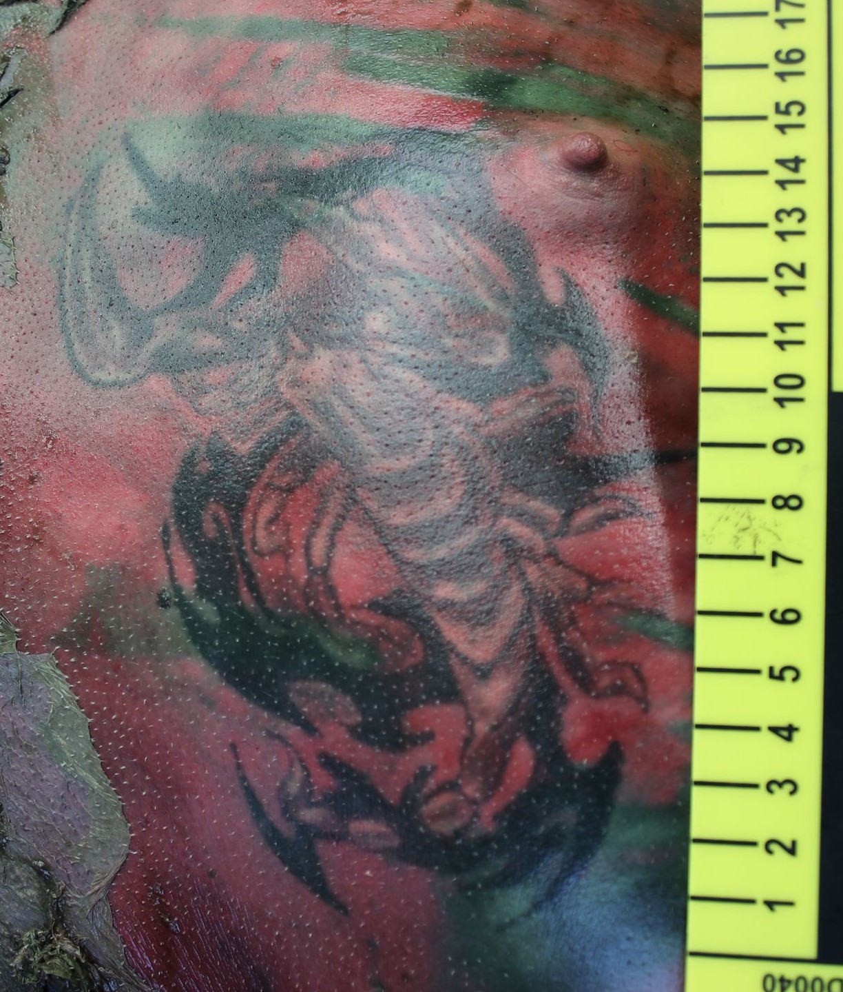 Tetování na hrudníku