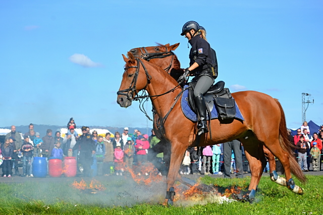 Ukázka jízdní policie