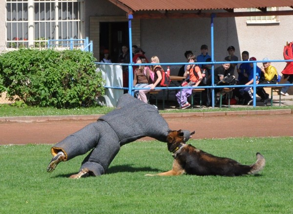 Ukázky policejních činností/016.jpg