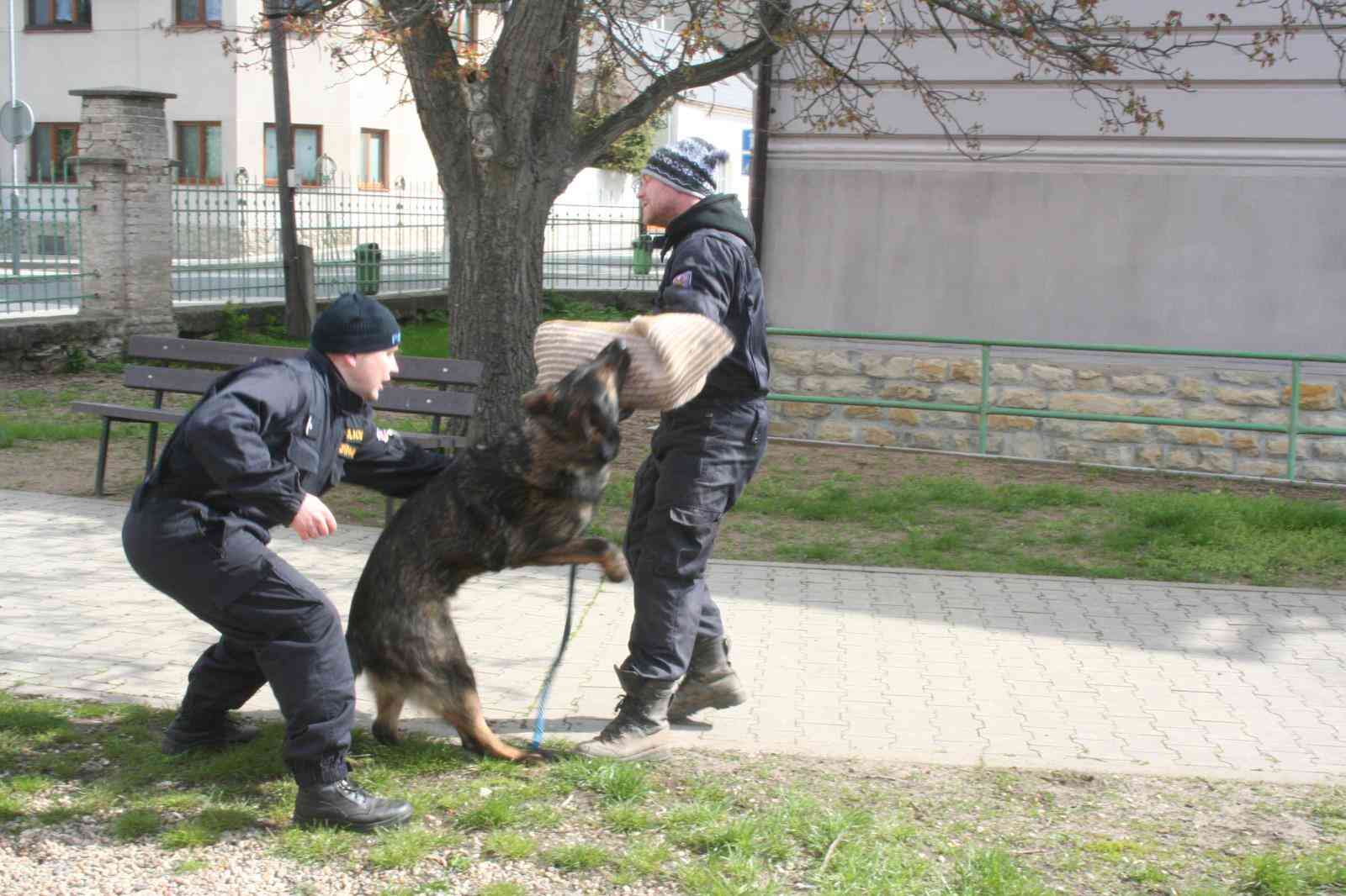 ZŠ Mělník - Pšovka