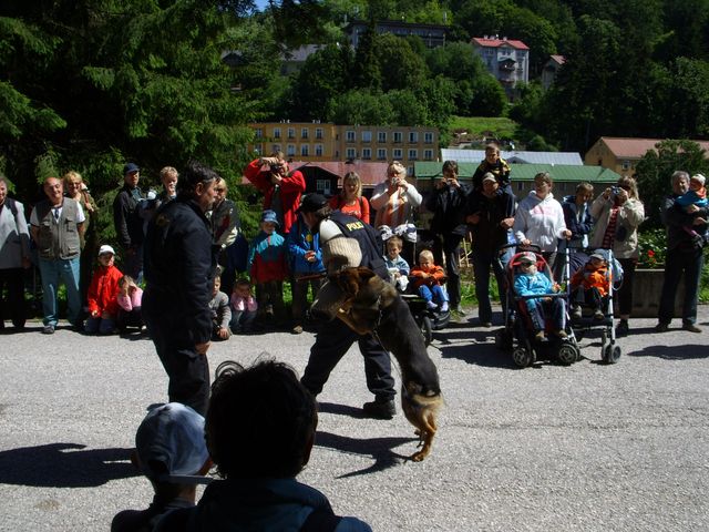 Zadržení pachatele