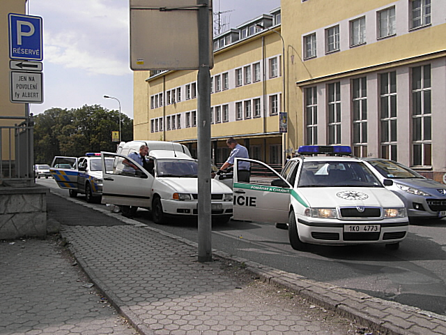 Zadržení pachatele