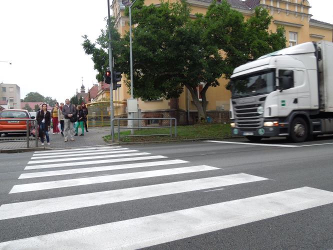 Zebra se za tebe nerozhlédne na Orlickoústecku