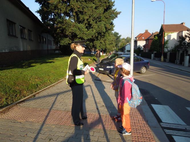 Zebra se za tebe nerozhlédne na Orlickoústecku