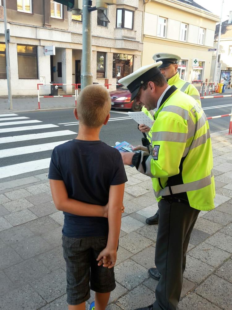 Zebra u ZŠ Kukleny