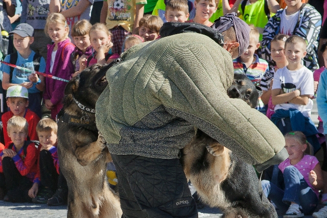 g) zákrok policejních psovodů 2