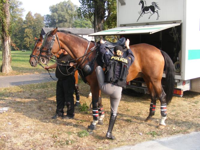 jízdní policie