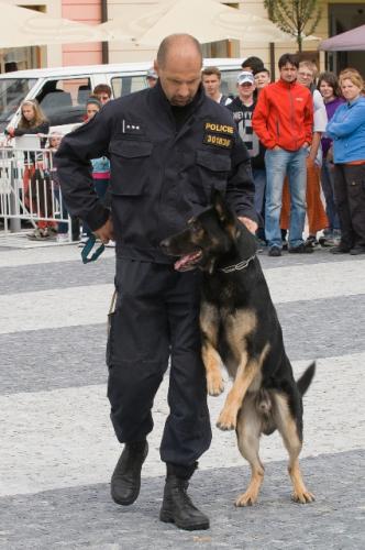 l) výcvik policejních psů